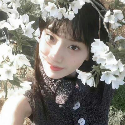罪案终结第五季