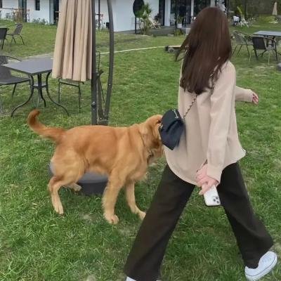 白兰的四个男人